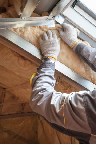 Insulation Inspection Services in Marion, SC