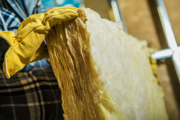 Best Wall Insulation Contractor  in Marion, SC